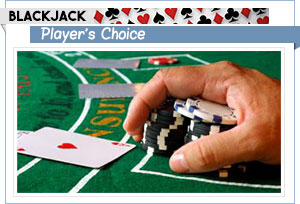 graphique du choix du joueur de blackjack