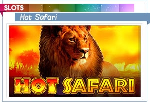 emplacement safari chaud