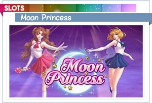 fente princesse de la lune